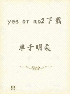 yes or no2下载